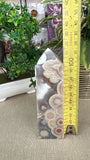 Mexican Crazy Lace Agate Tower