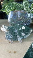 Moss Agate Slices