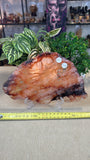 Fire Quartz Slice 734 grams