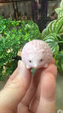 Crystal Hedgehogs