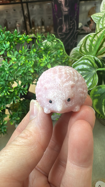 Crystal Hedgehogs