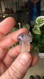 Fluorite Mushrooms