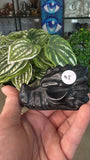 Obsidian dragon Heads