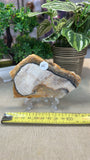 Jasper Wood Slice