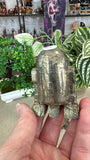 Pyrite R2-D2