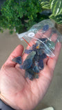 Raw Blue Fluorite Pieces