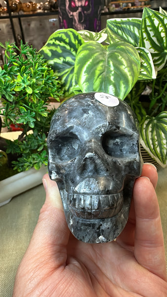 Larvikite Skull