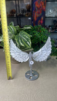 Selenite Angel Wings