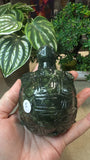 Green jade turtle