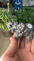 Fossil Stone Elephant