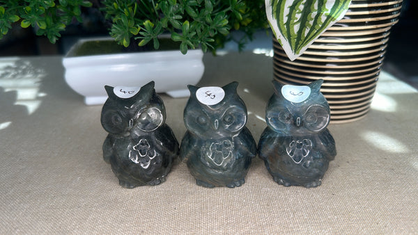 Labradorite Owls