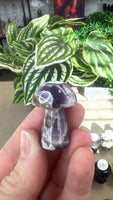 Crystal Mushrooms