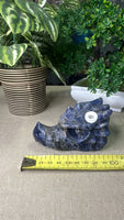 Sodalite Dragon Head