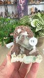 Green Apophyllite (watermelon apophyllite)