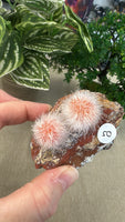 Thomsonite