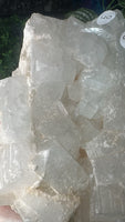 Apophyllite Cluster