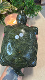 Green Jade Turtle