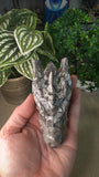 Picasso Jasper dragon head