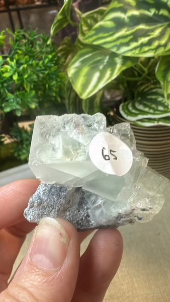 Raw fluorite cube on matrix