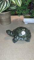 Green jade turtle