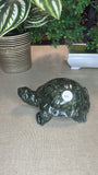 Green jade turtle