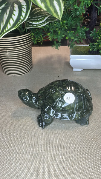 Green jade turtle