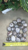 Mexican crazy lace agate tumble stones
