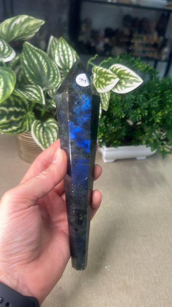 Labradorite Sceptre