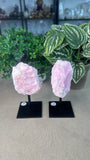 Pink Aragonite on stands