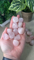 Rose Quartz Tumbles