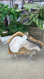 Jasper Wood Slice