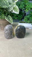 Bumble Bee Jasper Free Forms