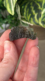 Hrbov Moldavite