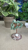 Money Trees