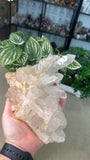 Clear Quartz cluster