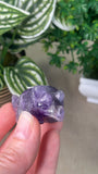 Amethyst Triceratops