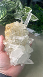 Clear Quartz Cluster