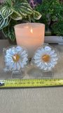Selenite Daisies