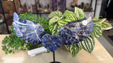 Sodalite Heart with wings
