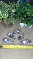 Raw Chevron Amethyst Pieces