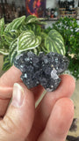 Amethyst cluster butterflies