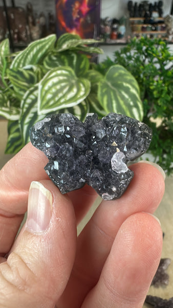Amethyst cluster butterflies