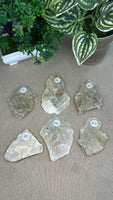 Golden Muscovite Slices