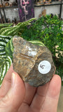 Bustamite