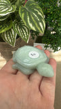 Caribbean calcite turtle