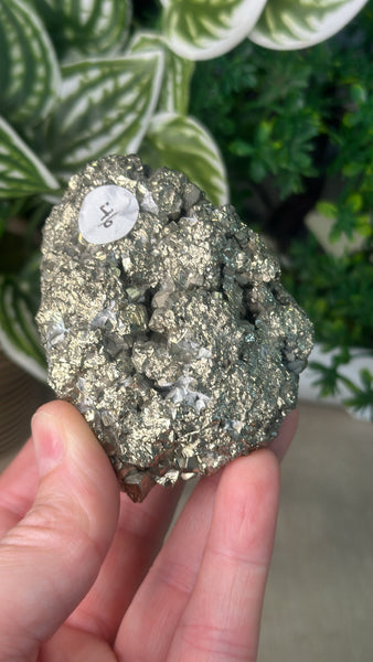 Pyrite