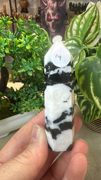 Zebra Jasper