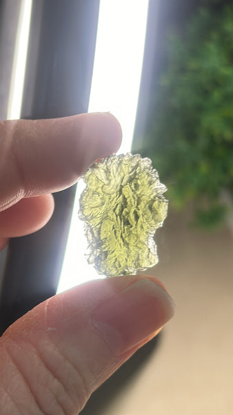 Hrbov Moldavite