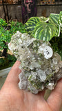 Epidote in Quartz Cluster
