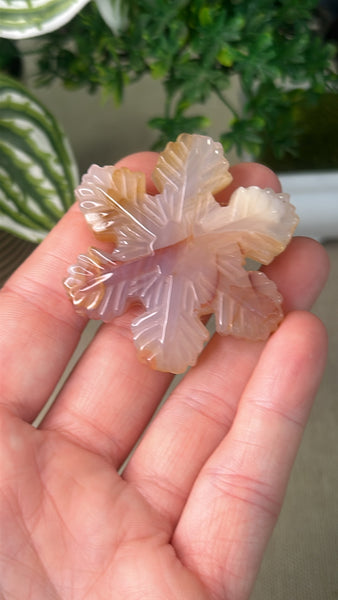 Flower agate Snow Flake